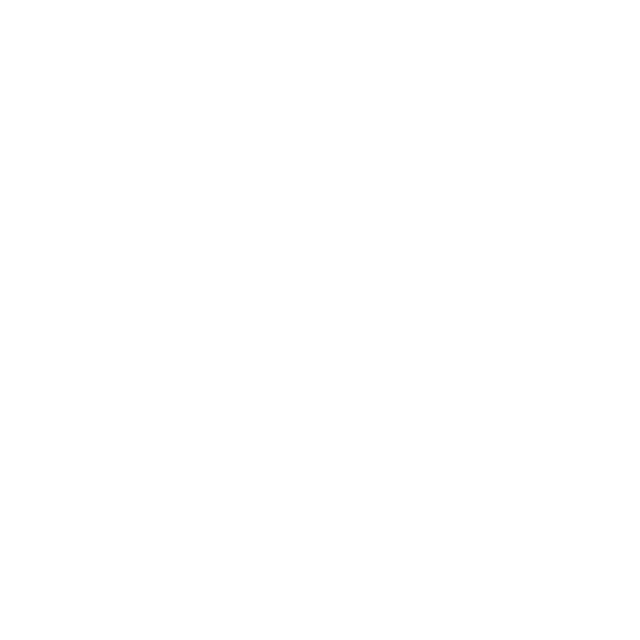 Wheels Nepal Logo