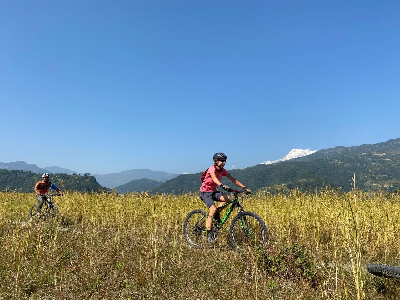 Enduro Bikes